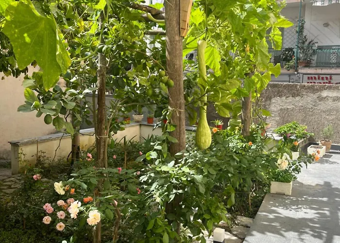 Lägenhet Le Di Don Andrea