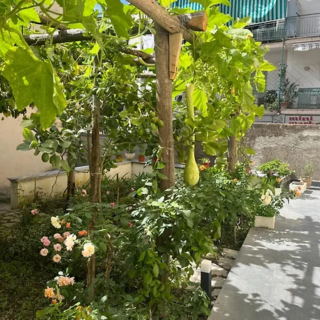 Apartman Le Di Don Andrea