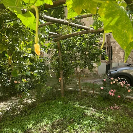 Apartman Le Di Don Andrea *